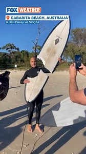 377K views · 2.9K reactions | An Australian surfer was lucky to escape in one piece after a shark took a huge bite out of a man's surfboard. The shocked surfer held both ends of the broken board near his head to demonstrate how large the bite was. #australia #beaches #ocean #shark #animals #sharkattack #FoxWeather | FOX Weather | Facebook