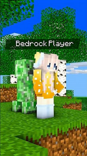 마인크래프트 자바 vs 베드락 #minecraft