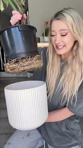 🌱 Have you tried LECA yet?! LECA stands for Lightweight Expanded Clay Aggregate and is used in