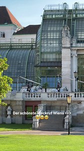 143K views · 2.8K reactions | Filmreif: Die schönste Stadt der Welt am Morgen.❤️‍ Mit etwas Glück seht ihr die Lipizzaner der Spanischen Hofreitschule von Montag bis Samstag zwischen 8 und 8:30 Uhr im Burggarten.凉  Burggarten, 1001 We ❤️ Vienna | 1000 things to do in Vienna | Facebook