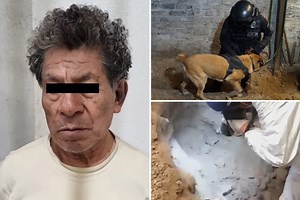 Cannibal serial killer investigators find 3,787 bones under butcher's home