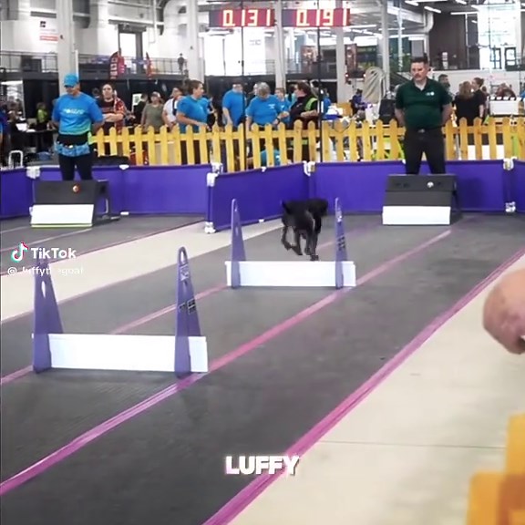 Creative Animation Techniques for Video Editing