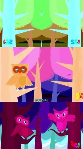 FUNNY ANIMALS CUTE OWL CLAPPING SPONSORED BY: GAMAVISION CSUPO EFFECTS