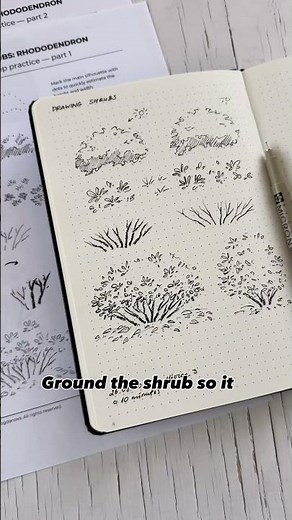 How to Draw a Shrub - Quick Tips! 😊🌿 #drawingtutorial #drawingideas #lineart #howtodraw