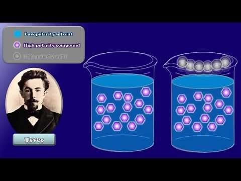 A Brief Introduction to TLC