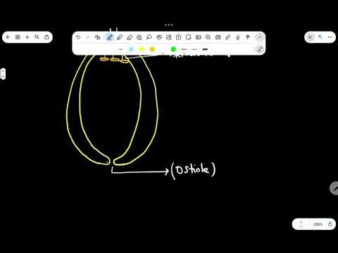 Interspecific Interactions: Mutualism and Protocooperation Explained | Ecology