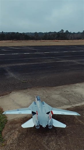 Freewing F-14D Tomcat Dual 64mm V2 #f14tomcat #viral #rcflying #fyp #howto