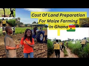 Cost of land preparation to start maize farming from start to finish in Ghana | farming in GH |Agric