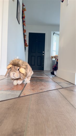 131K views · 19K reactions | Hey @woodlandparkzoo, can you double...