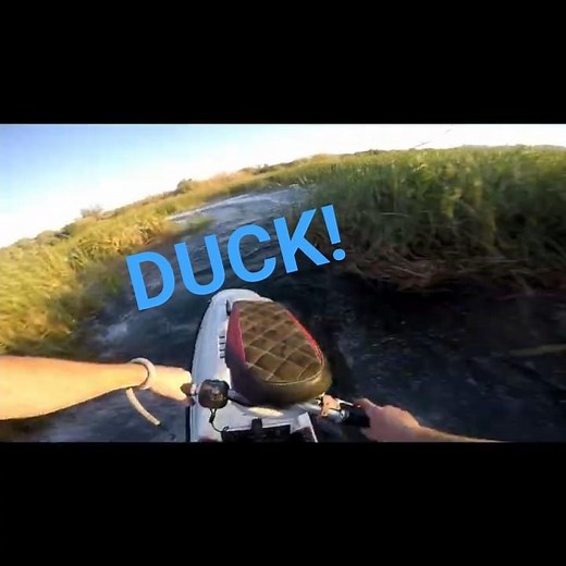 Superjet Stand Up 2 Stroke Jet Ski At The River #standup #jetski #2stroke #river #yamaha #superjet