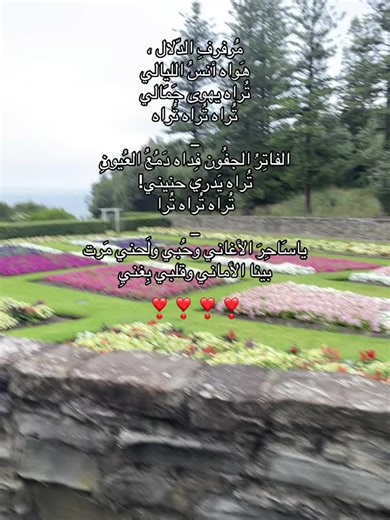 Explore the Charm of Fairouz's Classic Songs