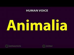 How to Pronounce Animalia