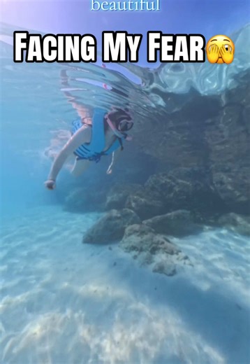 Do the scary thing. You might end up loving it🩵 #snorkeling #faceyourfear #swimming #cruise #cruiselife