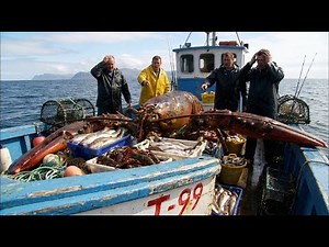 24 Hours at Sea: Hunting a 264lb Lobster That Filled Our Deck