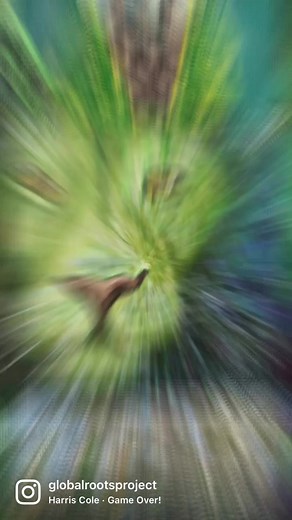 💚🦁💚 Our Mosaic Murals are made up of hundreds of individual tiles that come together to create a larger image 💚 Every unique tile is important in creating the final mural 🔍 Can you spot this gorgeous green lion 🦁 in our America Connects National Mural? (Lion tile submitted by Lyndi, ID, USA) 🔗 See the America National Live Grid and click through all of the individual tiles here https://www.muralmosaic.com/america-national/ #globalroots #globalrootsproject #muralart #communityart #painting