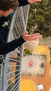 1.8M views · 9K reactions | Rubber Band Ball Vs World's Largest Exercise Ball | How Ridiculous | Facebook