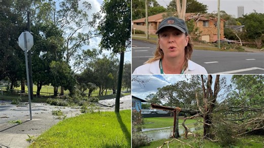 10 minutes of terror: Why dangerous trees are still standing