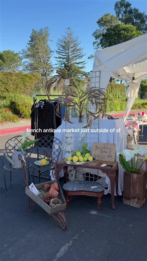 Discover Unique Finds at the Marin Farmers Market