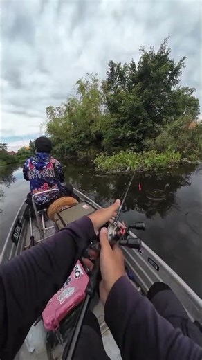 Explore Khlong Pho #fishing #prim #jerry
