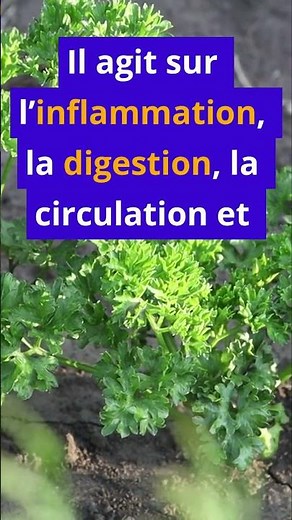 Parsley Has 5 Hidden Health Powers That Science Is Beginning to Confirm