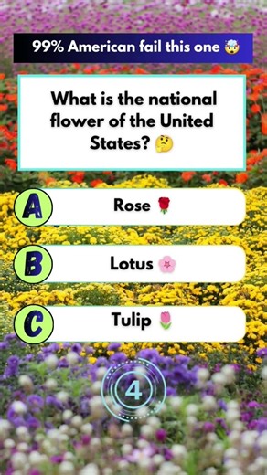 🤯 “Do you know this symbol?”What is the national flower of the United States?#amercia #usaquiz