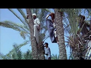 Abdullah Al-Jarallah - Ahmed Al-Nafis فيّ حبٌ || düet || Arabic Nasheed /Neşid