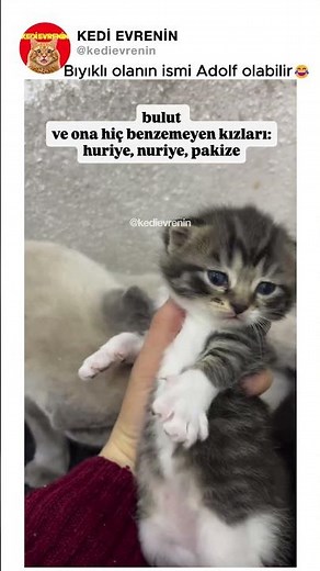 Bıyıklı olanın ismi Adolf olabilir😂