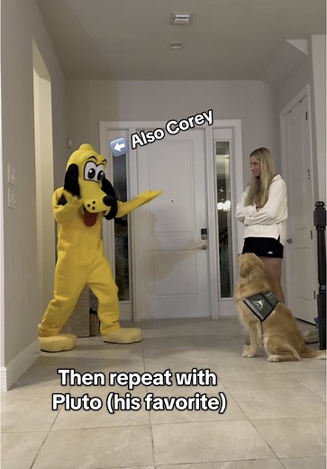 Preparing Your Service Dog for Disney Character Meets