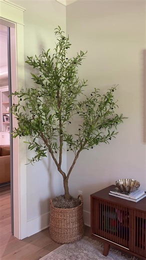 Ever seen an olive tree like this? 👀🌿 Darker trunk. Greener leaves. One of our most unique styles—made for modern homes. #lyerse #lyersetree #homedecor #interiorstyle #weekendreset