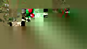 Quick Add is a brand new feature in BirdTrack that allows you to easily add single records on the go. Make your birding count with BirdTrack by easily recording your sightings anywhere in the world, keeping track of how many species you have seen and where you saw them. Did you know you can now record butterflies, amphibians, reptiles, dragonflies, mammals, and orchids as well as birds? BirdTrack stores your records securely and enables them to be used locally, nationally, and internationally to