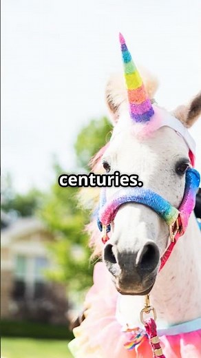 Scotland's Magical National Animal The Unicorn!