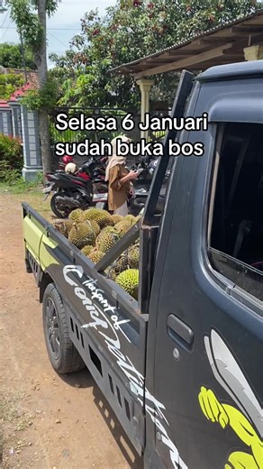 Durian Lokal di Tulungagung: Nikmati Sensasi Unik