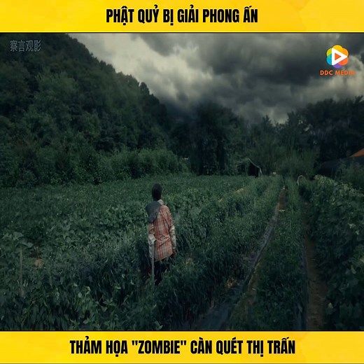 547K views · 13K reactions | Tượng Phật khóc và thảm họa "Zombie" càn quét thị trấn | Kayleigh Blanchard | Facebook