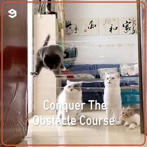 72K views · 825 reactions | must conquer the invisible shield. | 9GAG | Facebook