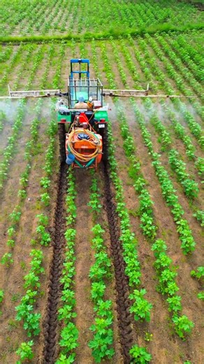 14K views · 967 reactions | Hydraulic Tractor Boom Sprayer | Shiva Agri Clinic #Tractor #HydraulicTractor #Sprayer #Tractorsprayer #Hydraulictractorsprayer #tractorattachments #tractormachine #farmequipment #Tractorsprayercost #Lowcosttractorsprayer #shivaagriclinic | Shiva AgriClinic | Facebook