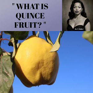 3 comments | What is Quince? Quince is a lumpy pear-shaped fruit...