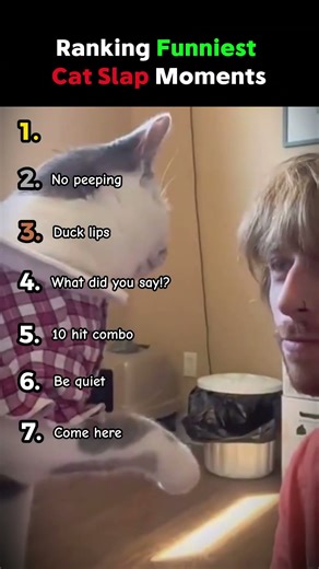 Funniest cat slap fails of ALL TIME 😹 #shorts #ranking #funnycats