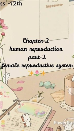 ch.2 human reproduction|#nevergiveup #booktok #students #study #biology