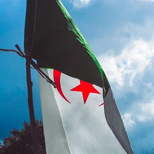 Algeria Today - الجزائر اليوم on Reels