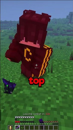 3 Reasons Why YOU Should Join the FreshSMP