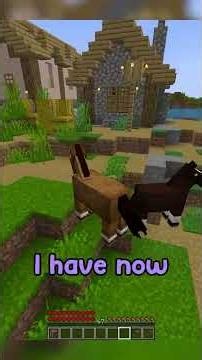 Minecraft, But I Turn Into The Mob I Hit…
