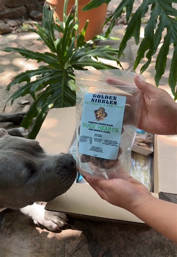 ✨ Miss Mabel ✨ on TikTok