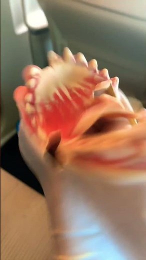 Shark puppet in McDonald’s (part 3) (most viewed short)