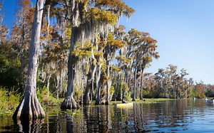 Mining Threatens the Okefenokee Swamp | Georgia Conservancy