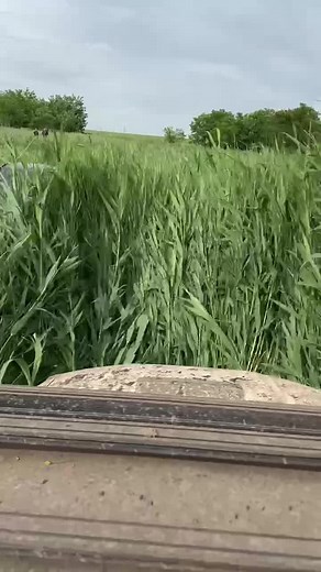 #offroad #4runner #toyota #toyota4runner #tacoma