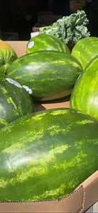 1.4K views · 62 reactions | Today's agenda: buy a watermelon, eat a watermelon. | West Side Market | Facebook