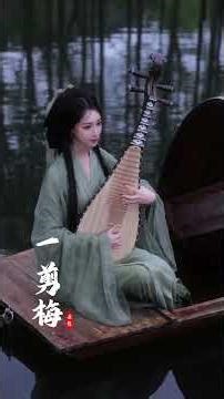 琵琶 一剪梅 琵琶手：云想 A Spray of Plum Blossom. One of China's most iconic melodies #经典老歌 #费玉清 #instrumental