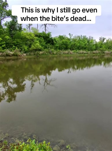 Improve Bass Fishing Skills: Accuracy Over Luck