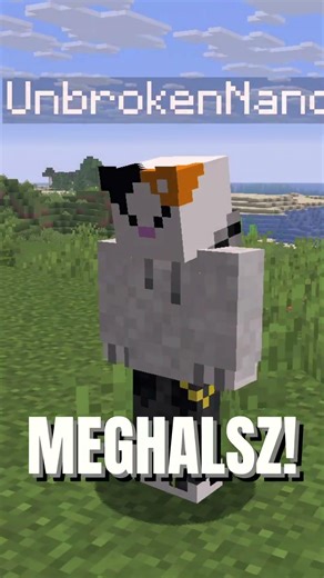 Ne hagyd abba a PISLOGÁST! | #shorts #minecraft #magyar