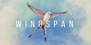 Wingspan is out now on iOS devices and lets you turn your phone into a bird sanctuary